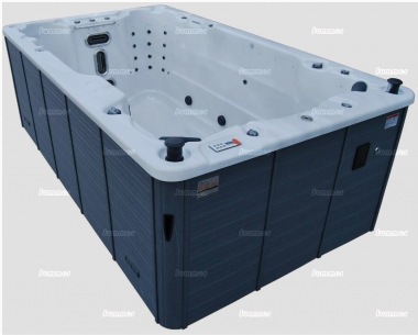 Swim Spa 40